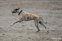Hundestrand Norddeich 30.5.2019