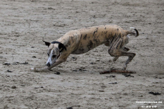 Hundestrand Norddeich 30.5.2019