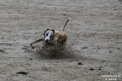 Hundestrand Norddeich 30.5.2019