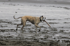 Hundestrand Norddeich 30.5.2019