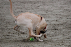 Hundestrand Norddeich 30.5.2019