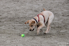 Hundestrand Norddeich 30.5.2019