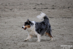 Hundestrand Norddeich 30.5.2019