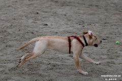 Hundestrand Norddeich 30.5.2019