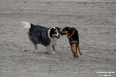 Hundestrand Norddeich 30.5.2019
