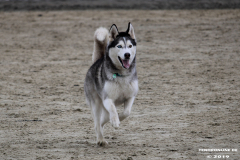 Hundestrand Norddeich 30.5.2019