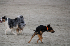 Hundestrand Norddeich 30.5.2019