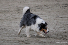 Hundestrand Norddeich 30.5.2019