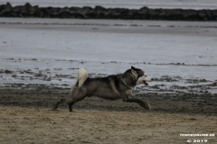 Hundestrand Norddeich 30.5.2019