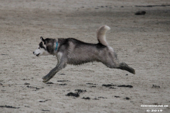 Hundestrand Norddeich 30.5.2019
