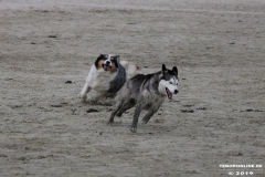 Hundestrand Norddeich 30.5.2019