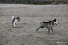 Hundestrand Norddeich 30.5.2019