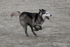 Hundestrand Norddeich 30.5.2019