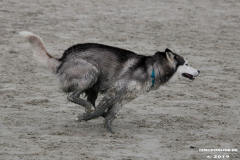 Hundestrand Norddeich 30.5.2019