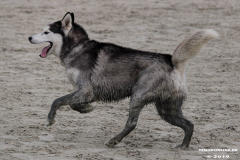 Hundestrand Norddeich 30.5.2019