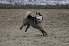 Hundestrand Norddeich 30.5.2019