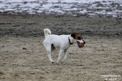 Hundestrand Norddeich 30.5.2019