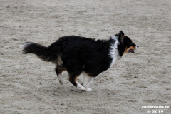 Hundestrand Norddeich 30.5.2019
