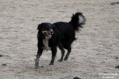 Hundestrand Norddeich 30.5.2019