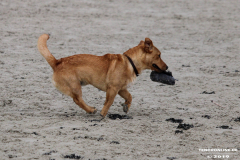 Hundestrand Norddeich 30.5.2019