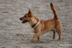 Hundestrand Norddeich 30.5.2019