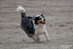 Hundestrand Norddeich 30.5.2019