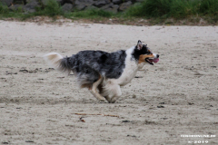 Hundestrand Norddeich 30.5.2019