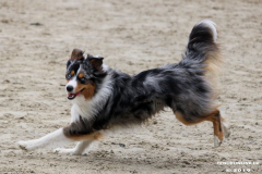 Hundestrand Norddeich 30.5.2019