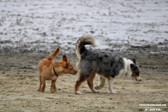 Hundestrand Norddeich 30.5.2019