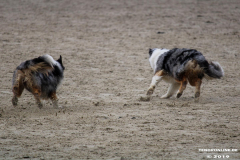 Hundestrand Norddeich 30.5.2019