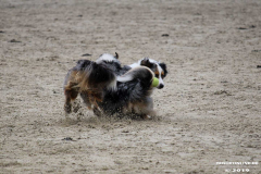Hundestrand Norddeich 30.5.2019