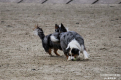 Hundestrand Norddeich 30.5.2019