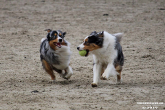 Hundestrand Norddeich 30.5.2019