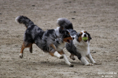 Hundestrand Norddeich 30.5.2019