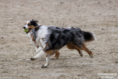 Hundestrand Norddeich 30.5.2019