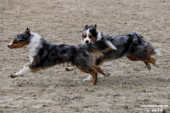 Hundestrand Norddeich 30.5.2019