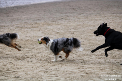 Hundestrand Norddeich 30.5.2019