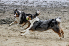 Hundestrand Norddeich 30.5.2019