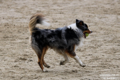 Hundestrand Norddeich 30.5.2019