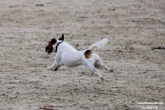 Hundestrand Norddeich 30.5.2019