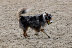 Hundestrand Norddeich 30.5.2019