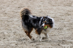 Hundestrand Norddeich 30.5.2019