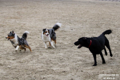 Hundestrand Norddeich 30.5.2019