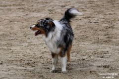 Hundestrand Norddeich 30.5.2019