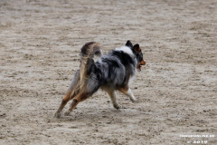Hundestrand Norddeich 30.5.2019