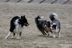 Hundestrand Norddeich 30.5.2019