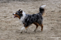 Hundestrand Norddeich 30.5.2019