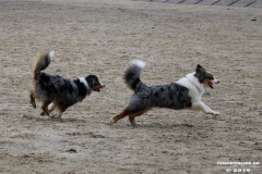 Hundestrand Norddeich 30.5.2019