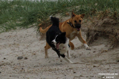 Hundestrand Norddeich 30.5.2019
