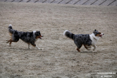 Hundestrand Norddeich 30.5.2019